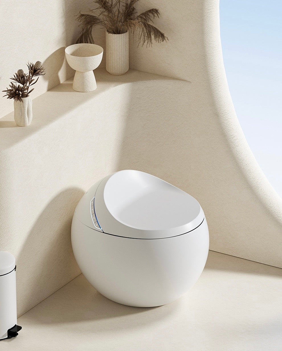 Smart Toilet