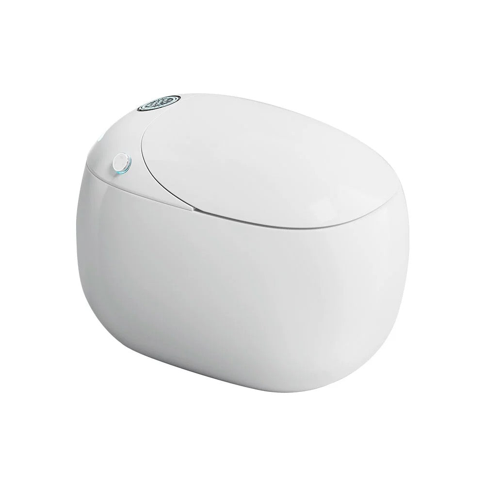 Smart Toilet Bidet Toilet Intelligent Toilet Automatic Flush