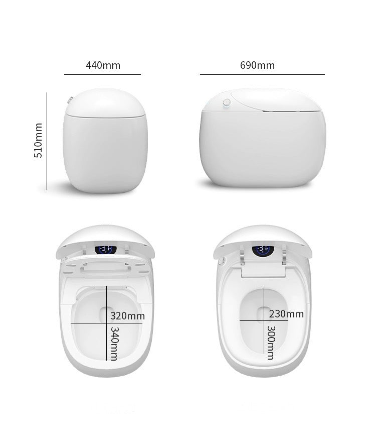 Smart Toilet Bidet Toilet Intelligent Toilet Automatic Flush