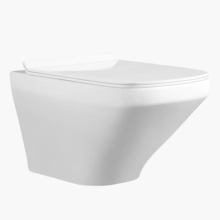 Ceramic wall mounted toilet
