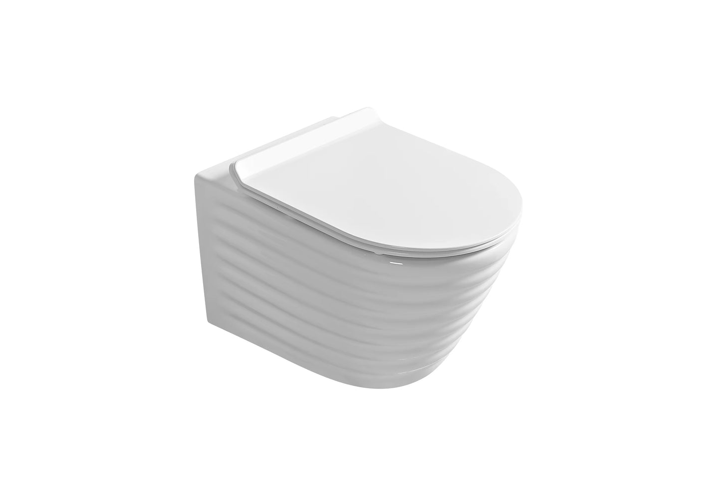 Wall hung toilet