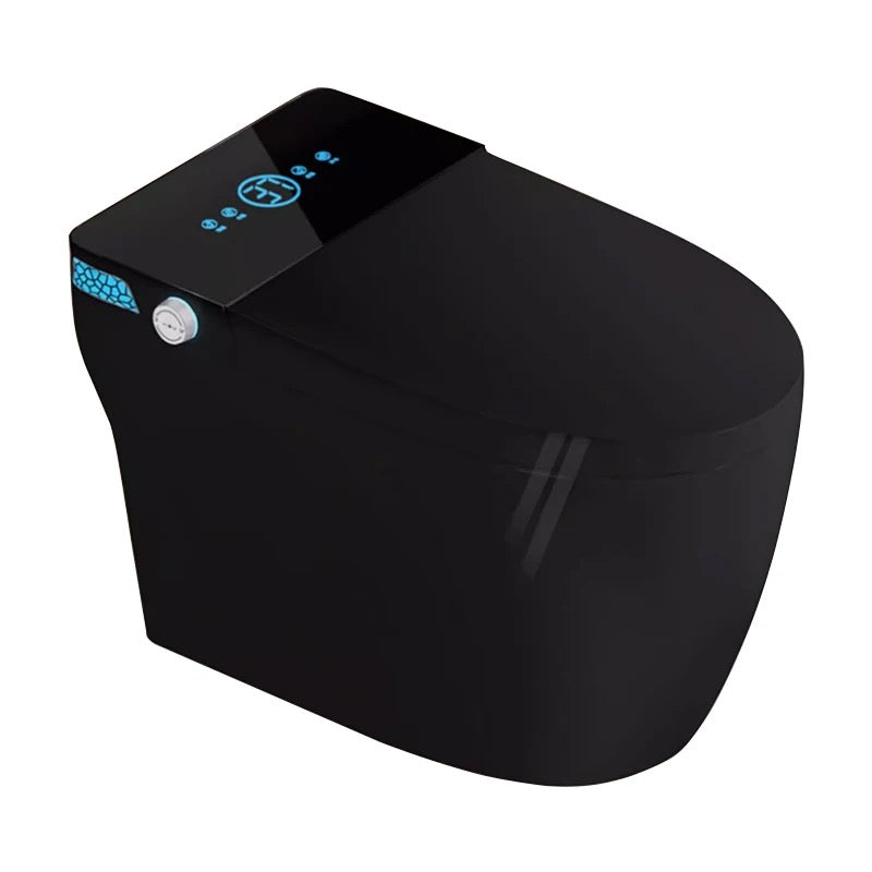 Smart Toilet